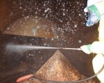 除染作業中
